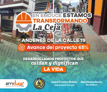 Proyecto: Andenes de la Calle 19