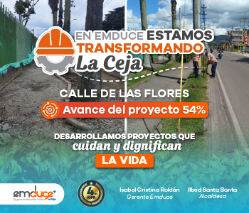 Proyecto: Calle de las Flores