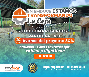 Proyecto: Ejecución Presupuesto Participativo