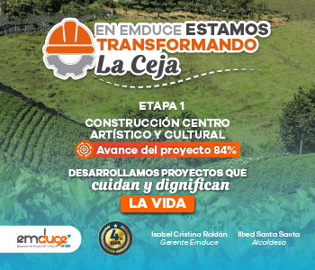 Proyecto: Construcción Centro Artístico y Cultural — Etapa 1